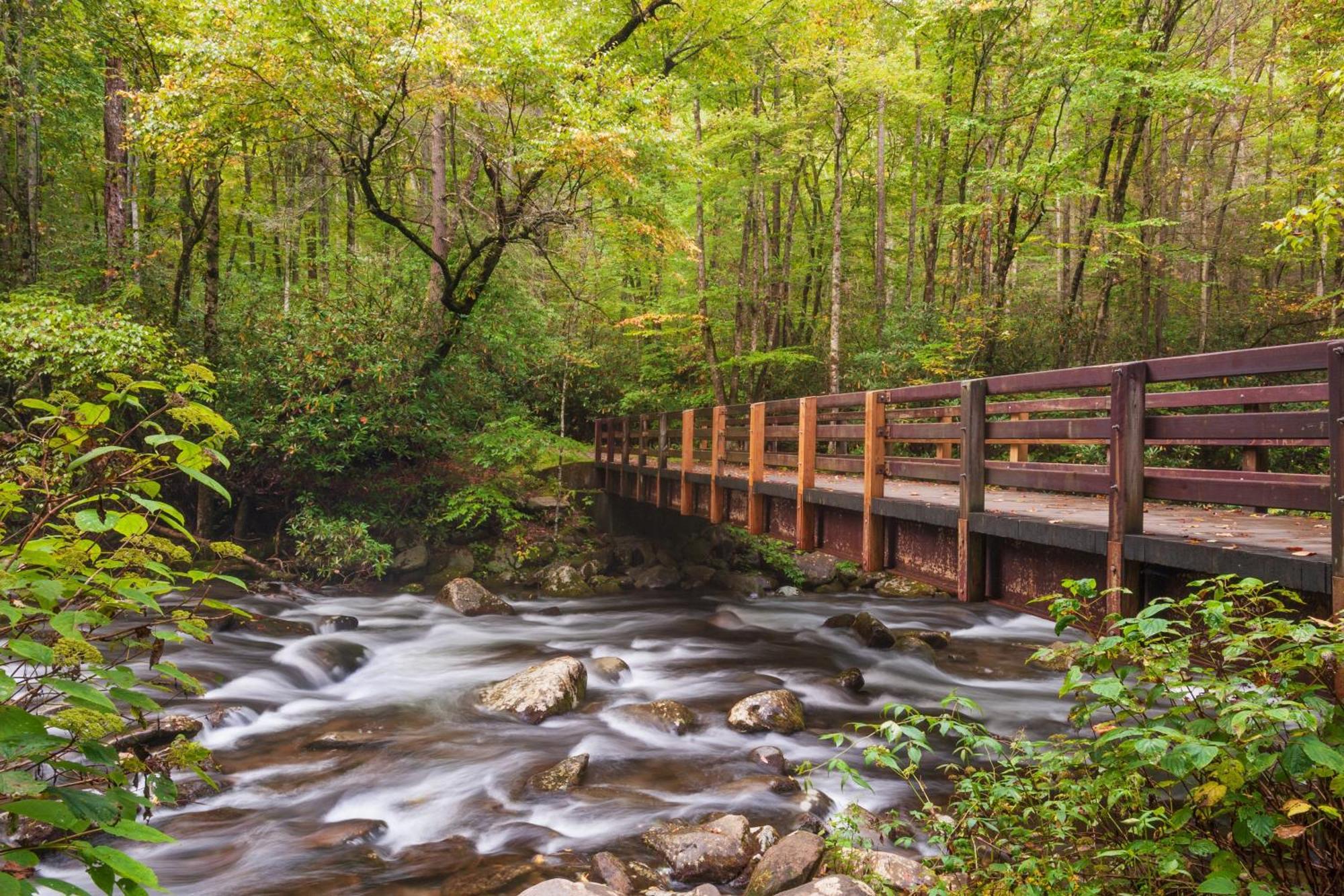 Alpine Joy-Hot Tub, Pond Access ,1089 Of Free Tickets For Each Paid Day, Dollywood And More! Townsend Dış mekan fotoğraf