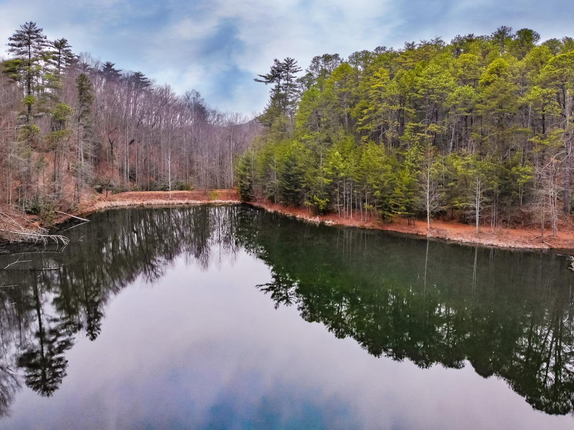 Alpine Joy-Hot Tub, Pond Access ,1089 Of Free Tickets For Each Paid Day, Dollywood And More! Townsend Oda fotoğraf